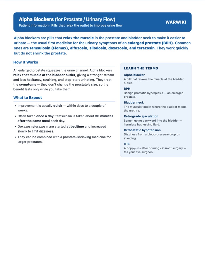 Alpha Blockers (for Prostate / Urinary Flow) — patient handout, page 1