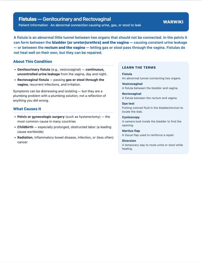 Fistulas: Genitourinary and Rectovaginal — patient handout, page 1