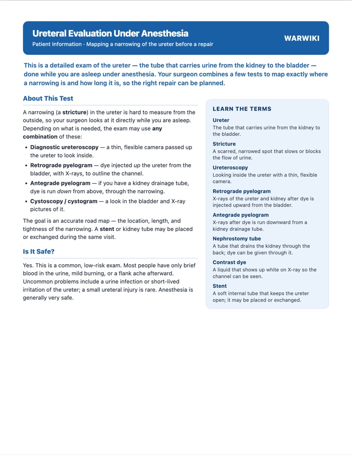 Ureteral Evaluation Under Anesthesia — patient handout, page 1