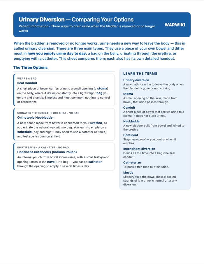 Urinary Diversion — Comparing Your Options — patient handout, page 1